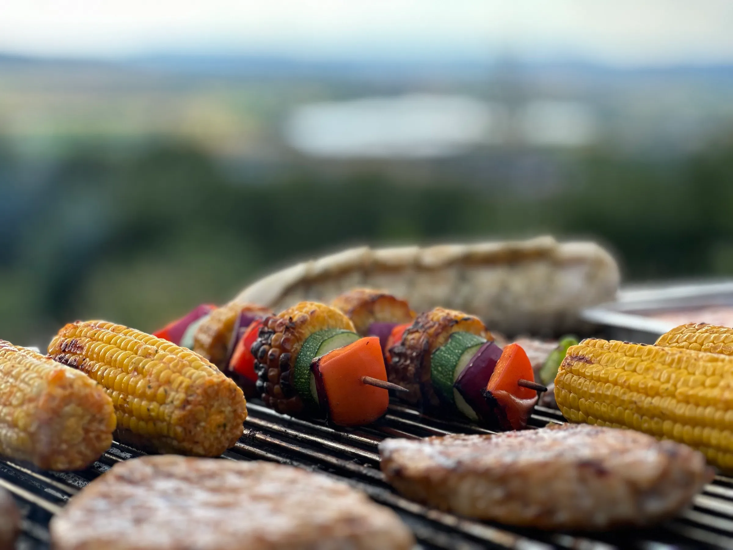 Grillen mit weitem Blick über das Tal